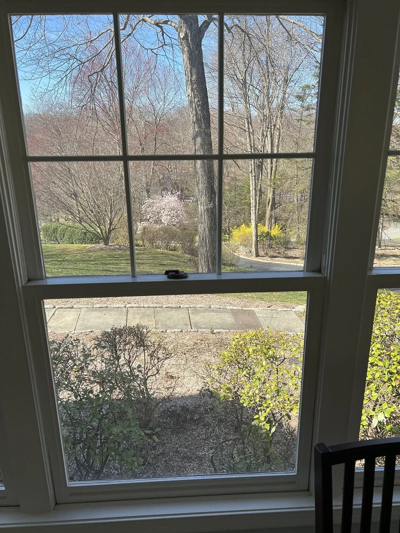 Builder grade double hung windows